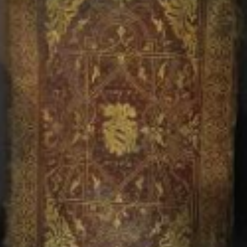 Libri rilegati in pelle